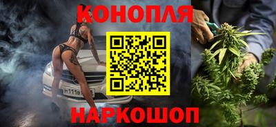 Альфа ПВП Пенза