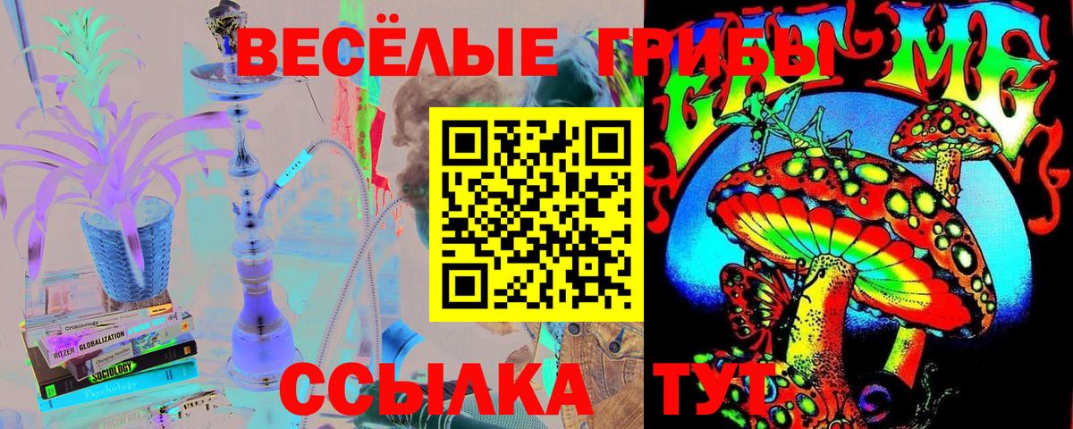 Галлюциногенные грибы GOLDEN TEACHER  Вход с VPN  Дагестанские Огни 