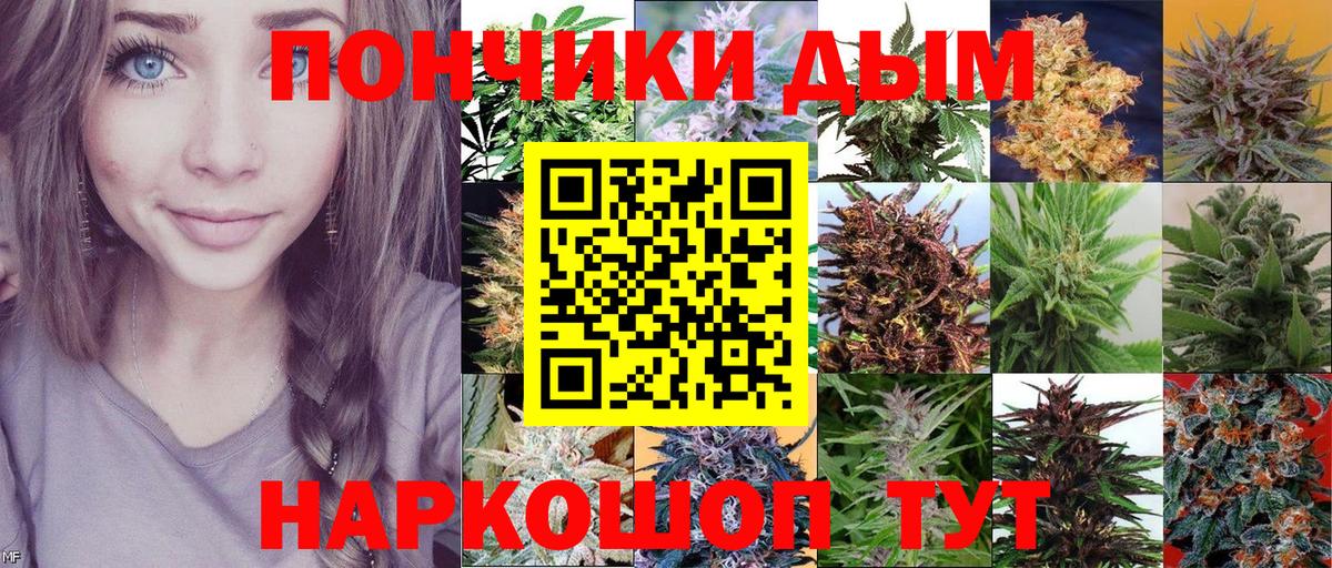 Бошки марихуана MAZAR Дагестанские Огни
